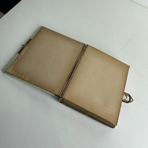 Antique Celluloid Repousse floral Cabinet Card Album ephemera art project Damage - Picture 6 of 14